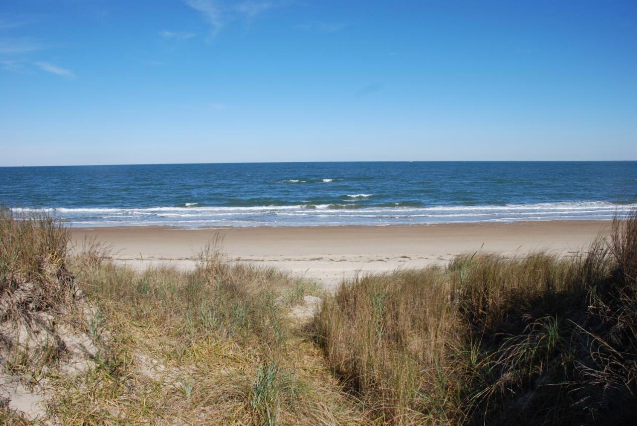 Rustic Rooftop Delight - Bay Front Apts Norfolk Extérieur photo