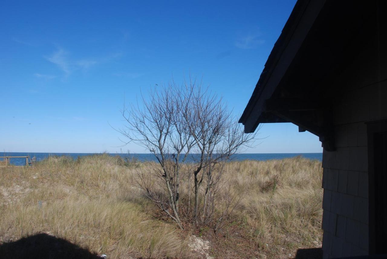 Rustic Rooftop Delight - Bay Front Apts Norfolk Extérieur photo