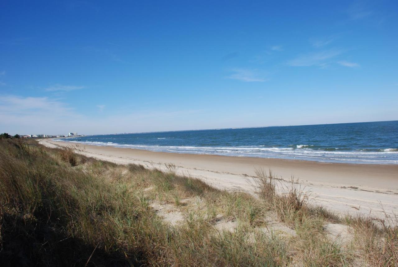 Rustic Rooftop Delight - Bay Front Apts Norfolk Extérieur photo